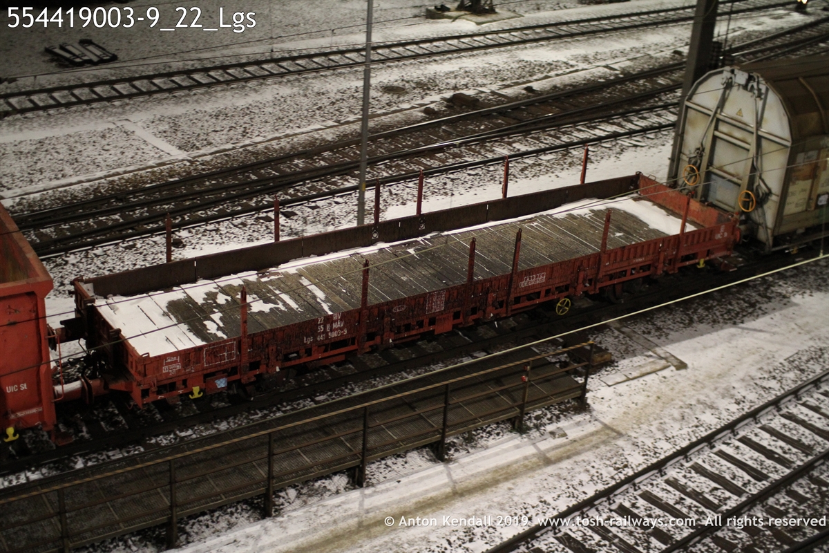 554419003-9_22_Lgs.JPG